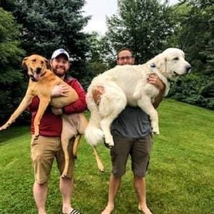 Meet your Posher, Andrew